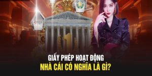 Giấy phép hoạt động ABC8