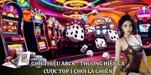 Giới thiệu ABC8