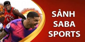 Saba Sport ABC8